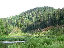 河koiva,开放空间,达尔
