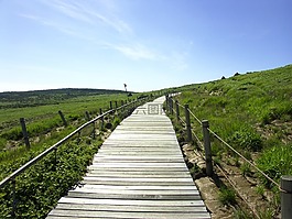 山径,旅行,打破