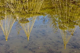 雪吊更多,雪圍欄,冬季的外殼