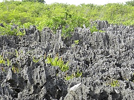 開曼,離島,開曼群島