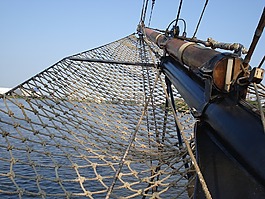 露水,天空,行業(yè)