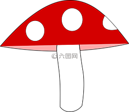 蘑菇,傘菌,森林