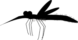 蚊子,喜歡,血液