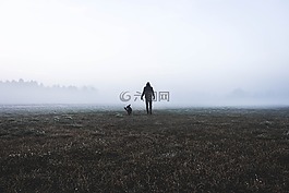 霧,冷,天氣