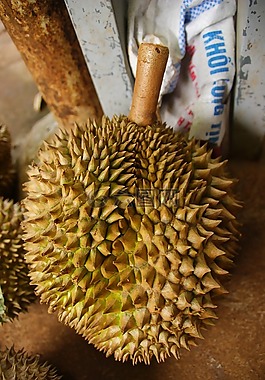 榴蓮,異國情調(diào),水果