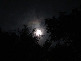 領(lǐng)域,性質(zhì),景觀