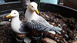 公仔,海鷗,飾品