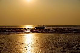 日落,水域,黎明