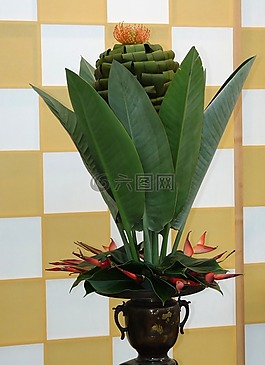 花,廠,安排