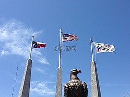 鷹,旗,德州