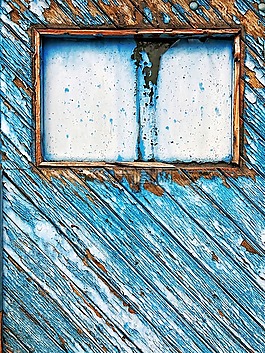 門,windows,樹
