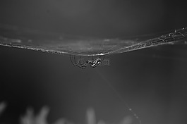 領(lǐng)域,性質(zhì),景觀