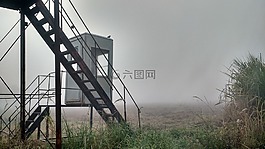 霧,冬天,自然
