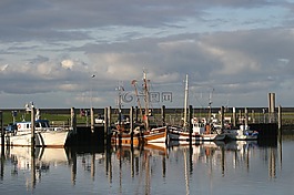 norddeich,海,北海