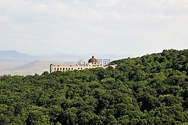 森林,山,景觀