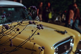 車,釀酒,花
