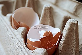 雞蛋,食品,烹飪