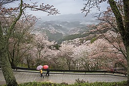 景觀,日本,奈良縣