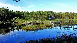 水,森林,湖
