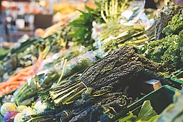 綠色,葉,蔬菜