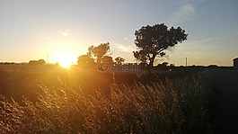 運動,太陽,陰影
