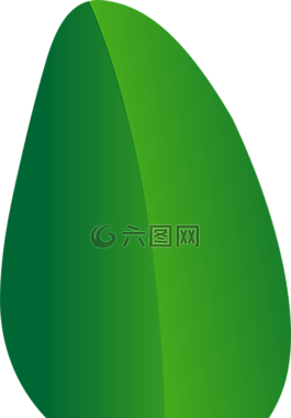 葉,性質(zhì),葉子