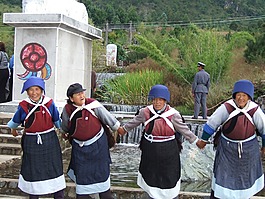 中國,婦女,植物