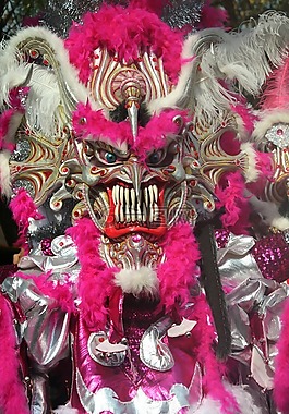 魔鬼 cojjuelo,维加,多米尼加共和国