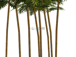 竹,廠,健康