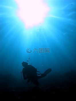 潛水員在陽光下,水肺,水下