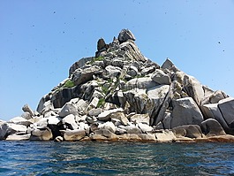 巖石,海,島