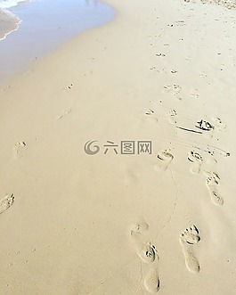 沙,海,足跡
