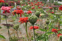 床,鮮花,花園