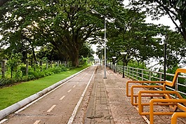 路,自行車道,自行車