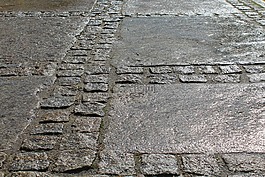 人行道,路面,濕