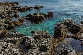 水,海,海濱