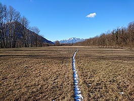 徑,軌道,雪