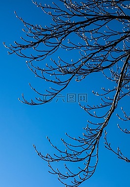 自然,桌面,天空