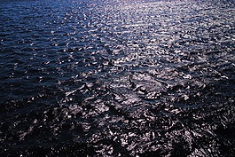 海,海洋,水