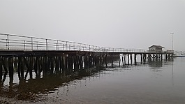 西南港,缅因州,mdi
