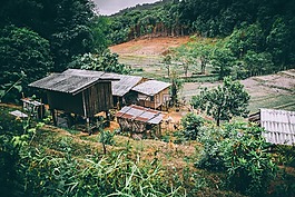 屋頂,房子,樹