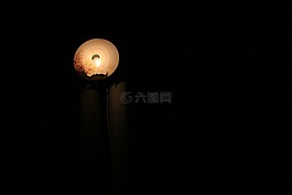 路燈,夜,孤