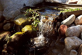 大瀑布,自然,花園