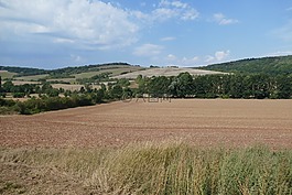 全景,耕地,字段