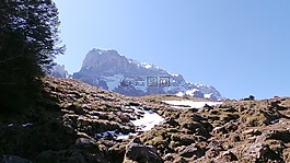 高山,春天,景觀