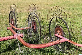 字段,工作,農(nóng)業(yè)