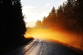 路,霧,日出