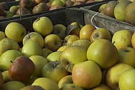 蘋果,水果,食品