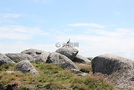 島,布列塔尼,巖