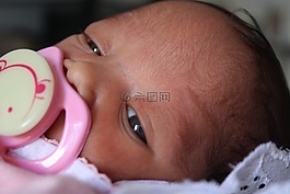 嬰兒,伊莎貝拉,貝貝